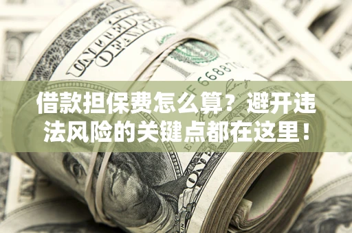 济南借款担保费怎么算？避开违法风险的关键点都在这里！