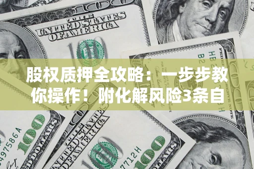 济南股权质押全攻略：一步步教你操作！附化解风险3条自救法则