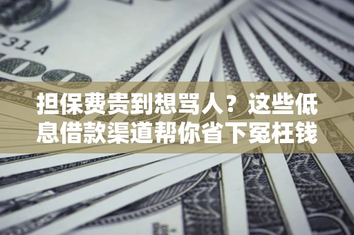 济南担保费贵到想骂人？这些低息借款渠道帮你省下冤枉钱