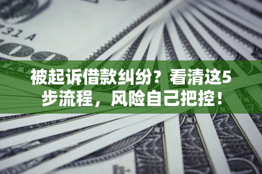 济南被起诉借款纠纷？看清这5步流程，风险自己把控！
